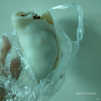 �������ʲô��Ƕ��