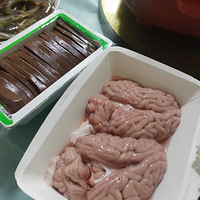 �������ʲô����ͥ���