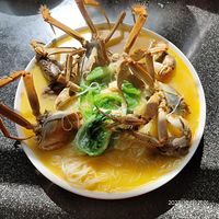 �������ʲô����з��