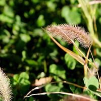 ����˪�����������һ���������ˣ���Щ֪ʶ�㶼֪����