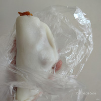 �������ʲô�����Ƕ��