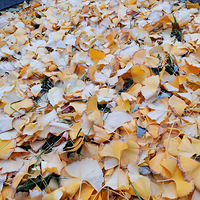 �������� | ���ڶ���ĵ�һ����������Щ֪ʶ�ú���һ�����˽�