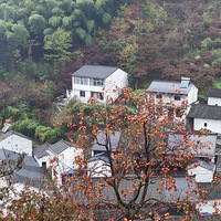 2023.11.11 ��������ɽ:ʮ�ֿ�~ˮ����~��������ﻷ��