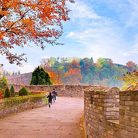 ����̨�ݣ�̨�ݣ����̵���ʷ