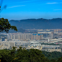 Զ��·�Ž����³���ò,�ܷ��ҵ����������