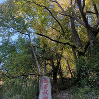 11.18ţ弹ŵ