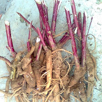 �ж������ؿ����������ж�������