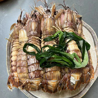 �������ʲô�����ʴ��