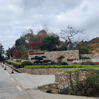 죬ǧƺ׹·ɽɫ
