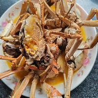 [�����ʲô]������з