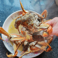 [�����ʲô]���մ�բз