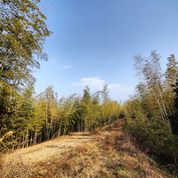 ��װԪ������֮̽�ó���ˮ��