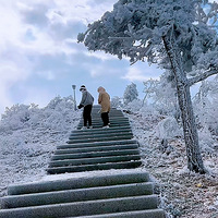 ��2024�μǡ�+����ɽ��ڡ