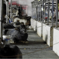 �賿���㣬���ڹ㶫�ţ���ųǣ�һ��