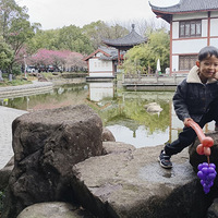 【春节带娃】梅花都开好了，赏梅去