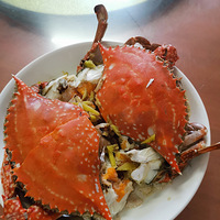 �������ʲô����Ϧ��ҹ��������