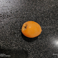 [�����ʲô]����