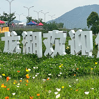 ´ޡǺʺ޵