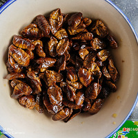 [�����ʲô]��Ӽ