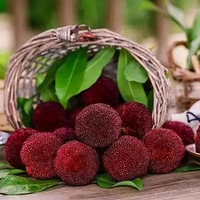 ������Ե��ɾ���÷�����ɶ��������ˣ�