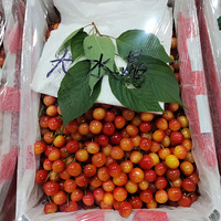 ����ʽ�µ���10Ԫ/�̨����ץ������Ҫ������