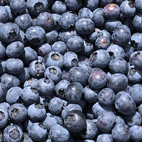 Ѱζ̨��ح̨�ݵ����죬��������~