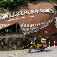 㽭318дߣ
