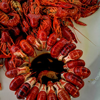 �������ʲô��80�����