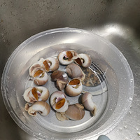 �������ʲô��55һ���è����