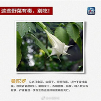 һ�����ȫ���У�2�˽�ICU���������ѣ�����綾