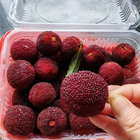 [�����ʲô]��÷�Ա�