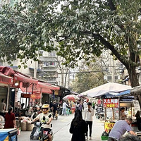 Ѱζ̨��ح��԰�˳�������ô��ô���ԣ�