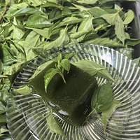 �������ʲô����Ҷ����