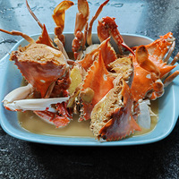 [�����ʲô]�����ĵڶ��ٰ�з