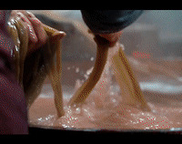 �û������ڰ���������������ģ���������̨����ʳ