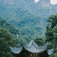 宝子们，神仙居顶流云海即将回归，任谁看了都心动！