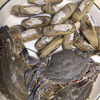 �������ʲô�����ʸ�