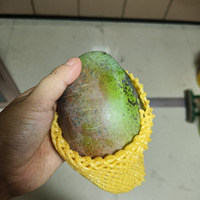 ѧޡâˮ