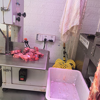 �������ʲô����Ы��