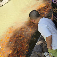 ����ѧ���ޡ��ö�ö��㰡