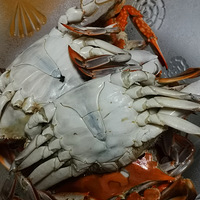 �������ʲô����ҹ