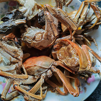 [�����ʲô]��з