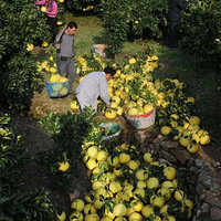 Ѱζ̨��ح̨���˵����죬���������