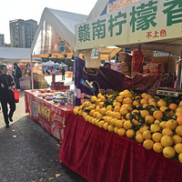 11´ޡ䰢չ