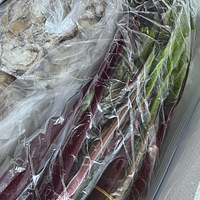 �Ե����ϼҵĵ�һ���۲�̦