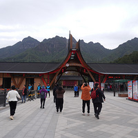 磺羪ϲ벨֮