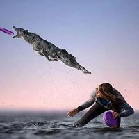 �Ļ�|�𺳣�2020������Ӱ���񽱼�������