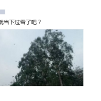̨Ȧˢȴˣ⵽ǲ...