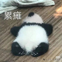 ʲôزʽʼ