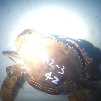 ˣδйҵȡ